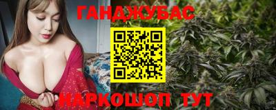 крисы Малгобек