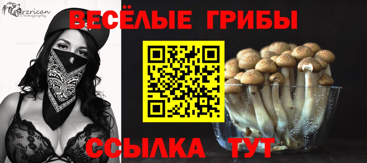 Псилоцибиновые грибы мухоморы Бугуруслан
